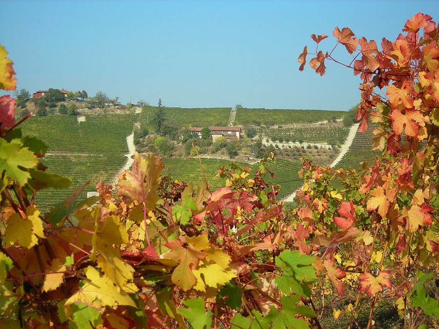 imgi_8_panorama